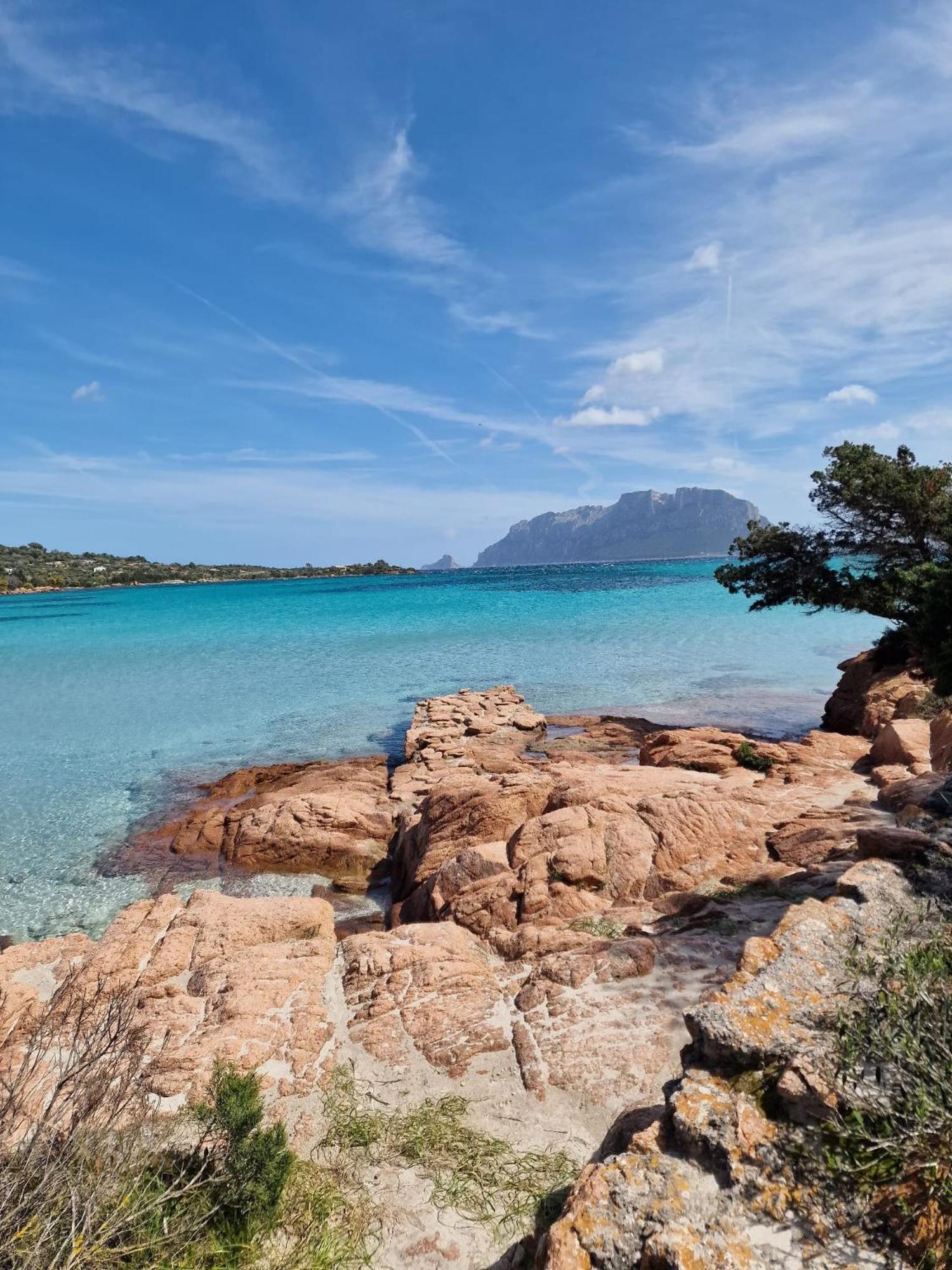 Apartment Le Viole Olbia